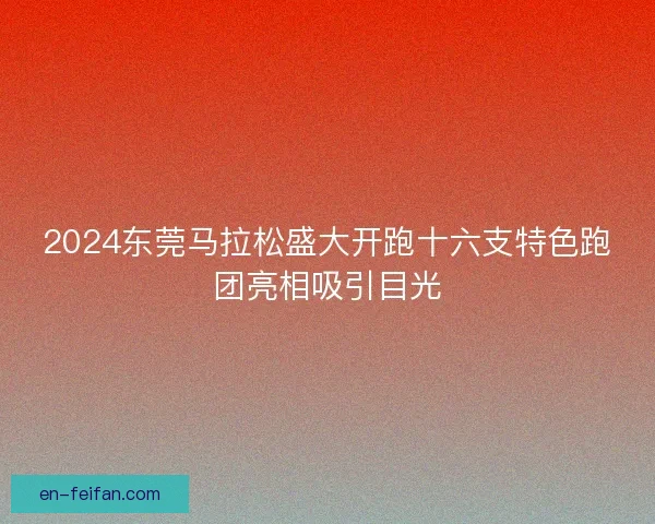 2024东莞马拉松盛大开跑十六支特色跑团亮相吸引目光
